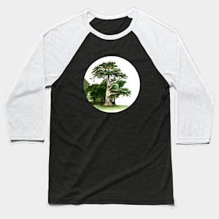 Cypress Tree Watercolor Alamo Square Park San Francisco Baseball T-Shirt